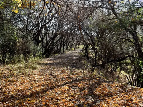 Internet y Telefonía en El Manzano, Córdoba